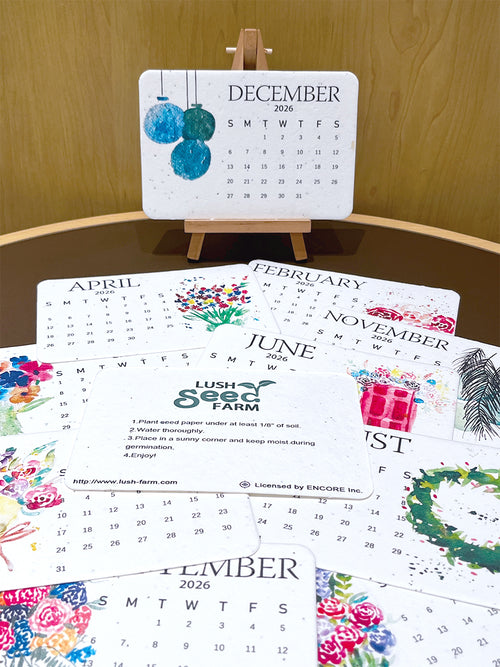 ✨Early Black Friday Sale 70% OFF🌱Eco-Friendly Plantable Seed Calendar 2026