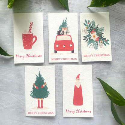 🎄🌱Plantable Christmas Seed Cards - 🌼Send blessings and plant a hope