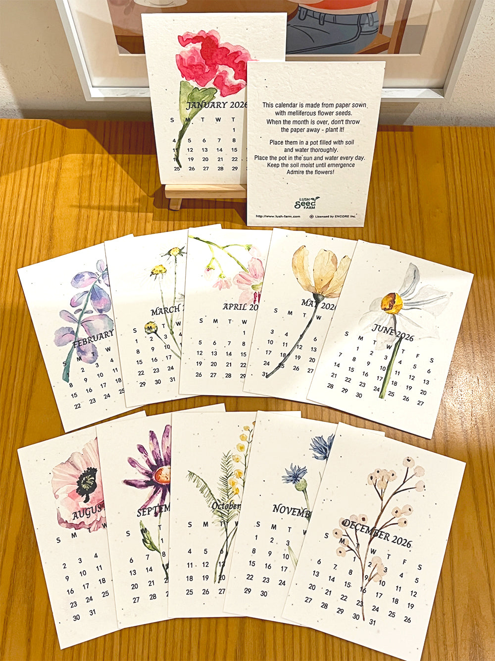 ✨Early Black Friday Sale 70% OFF🌱Eco-Friendly Plantable Seed Calendar 2026