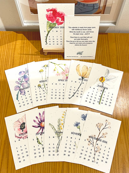 ✨Early Black Friday Sale 70% OFF🌱Eco-Friendly Plantable Seed Calendar 2026