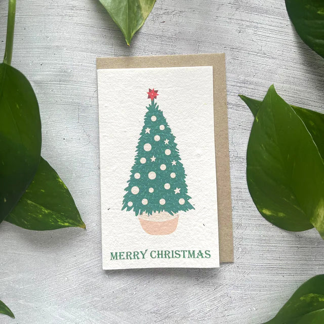 🎄🌱Plantable Christmas Seed Cards - 🌼Send blessings and plant a hope