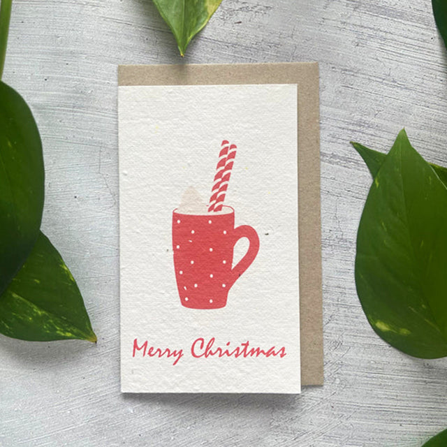 🎄🌱Plantable Christmas Seed Cards - 🌼Send blessings and plant a hope