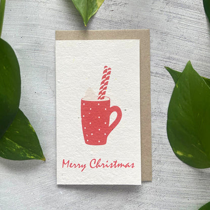 🎄🌱Plantable Christmas Seed Cards - 🌼Send blessings and plant a hope