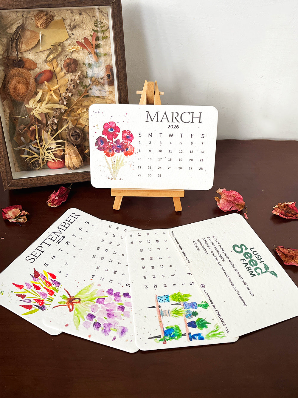 ✨New Arrivals 49% OFF Today🌱Eco-Friendly Plantable Love Seed Calendar 2026