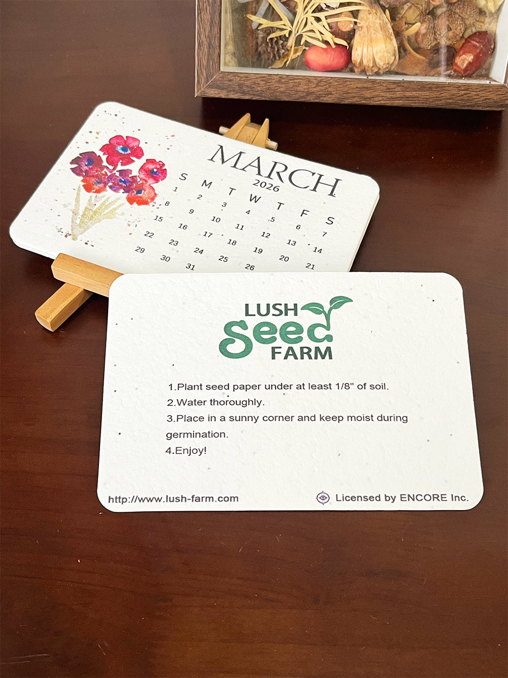 ✨New Arrivals 49% OFF Today🌱Eco-Friendly Plantable Love Seed Calendar 2026