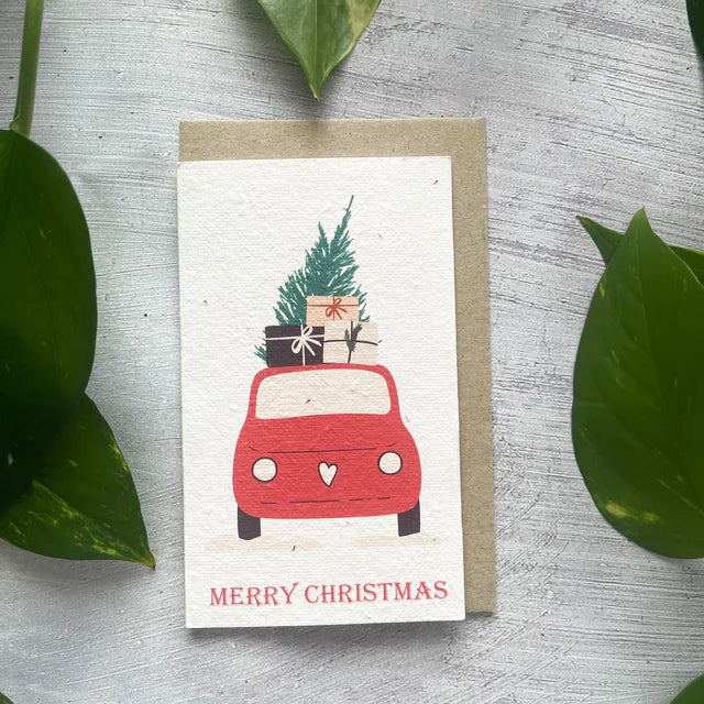 🎄🌱Plantable Christmas Seed Cards - 🌼Send blessings and plant a hope