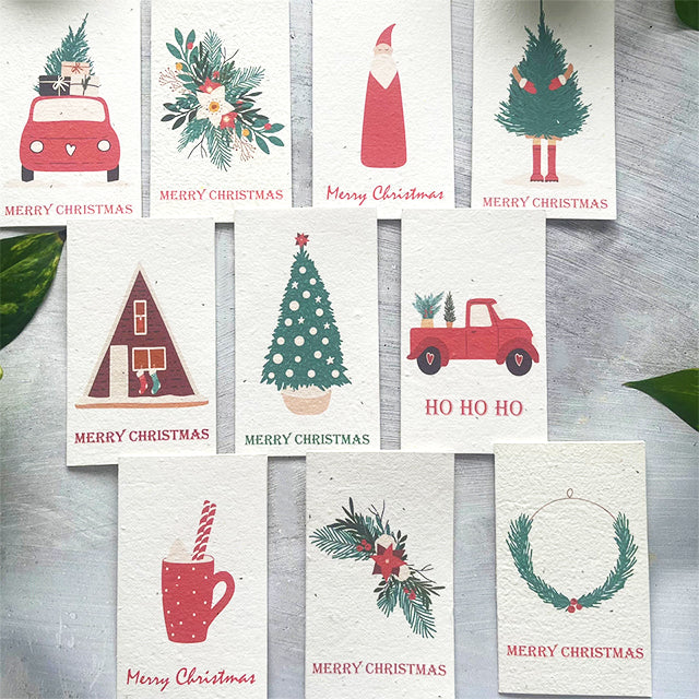 🎄🌱Plantable Christmas Seed Cards - 🌼Send blessings and plant a hope