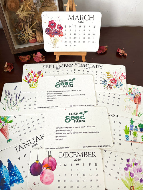 ✨New Arrivals 49% OFF Today🌱Eco-Friendly Plantable Love Seed Calendar 2026