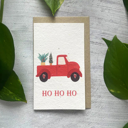 🎄🌱Plantable Christmas Seed Cards - 🌼Send blessings and plant a hope