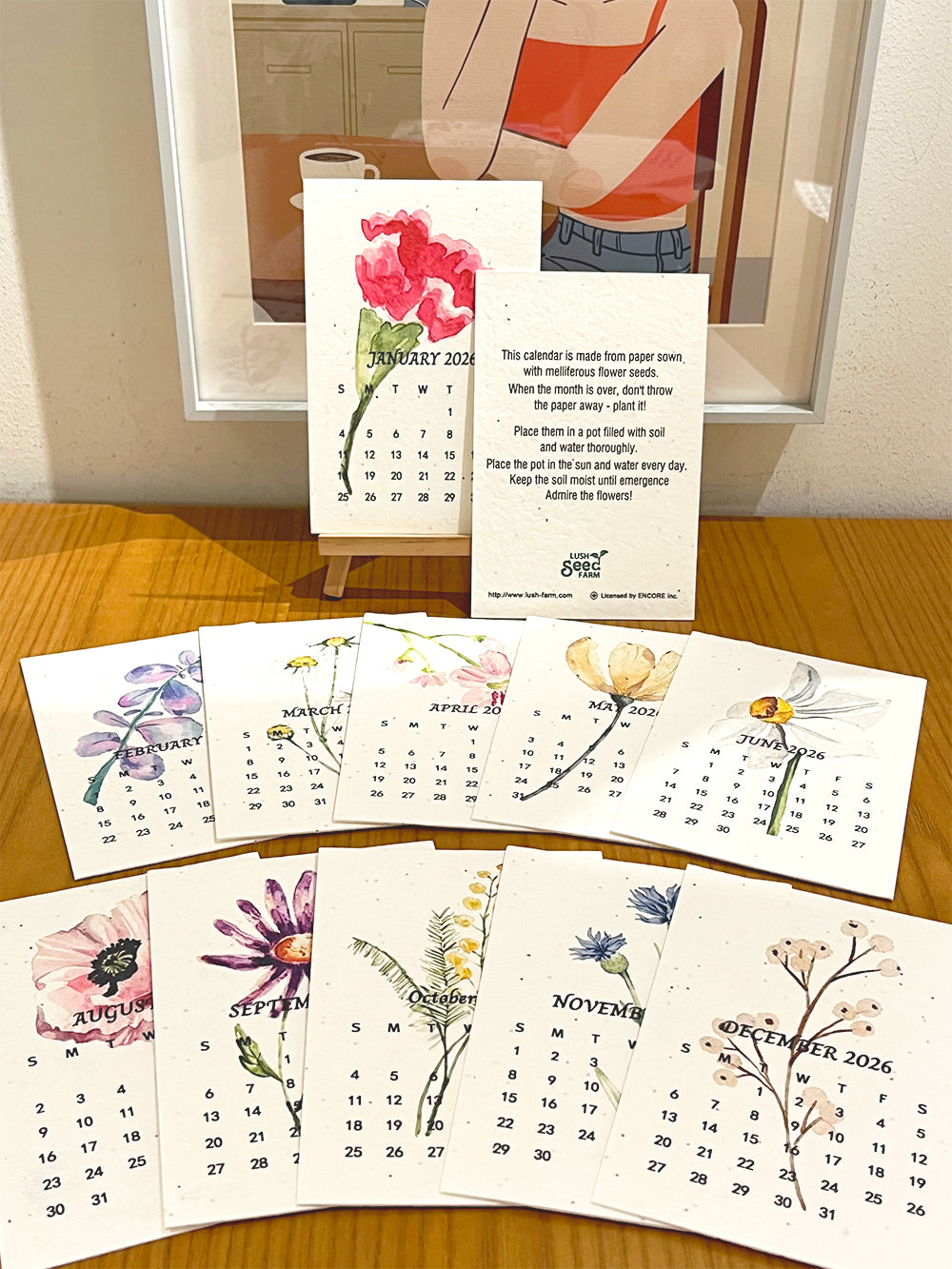 ✨Early Black Friday Sale 70% OFF🌱Eco-Friendly Plantable Seed Calendar 2026