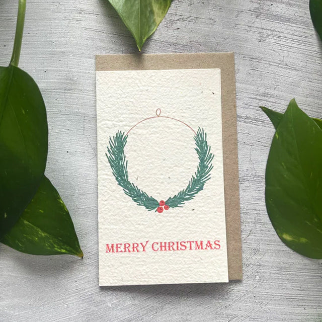 🎄🌱Plantable Christmas Seed Cards - 🌼Send blessings and plant a hope