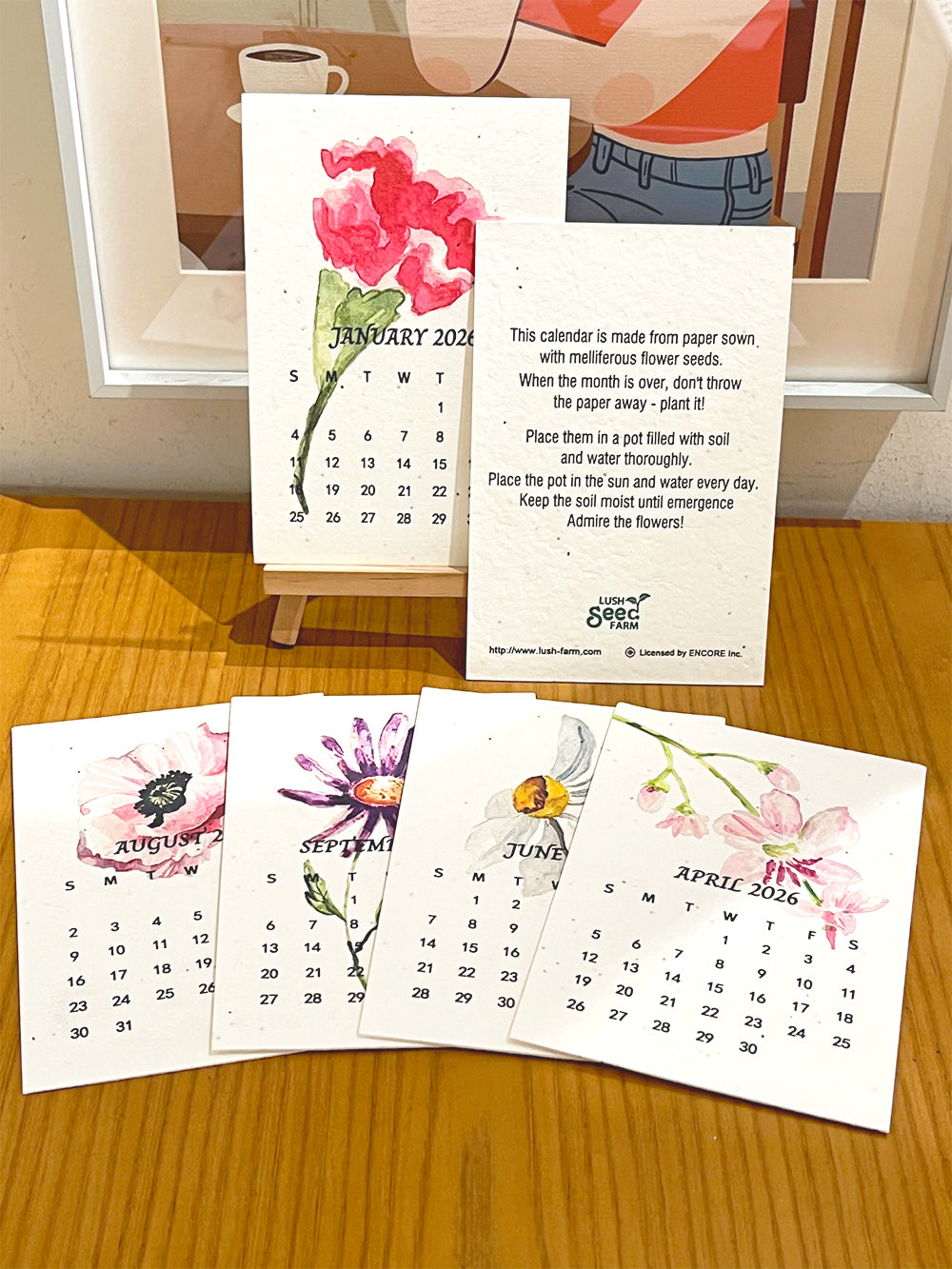 ✨Early Black Friday Sale 70% OFF🌱Eco-Friendly Plantable Seed Calendar 2026