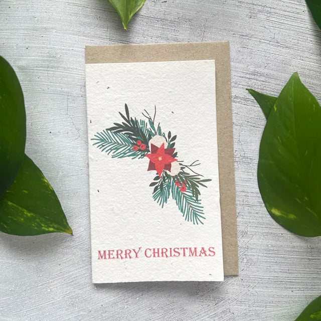 🎄🌱Plantable Christmas Seed Cards - 🌼Send blessings and plant a hope