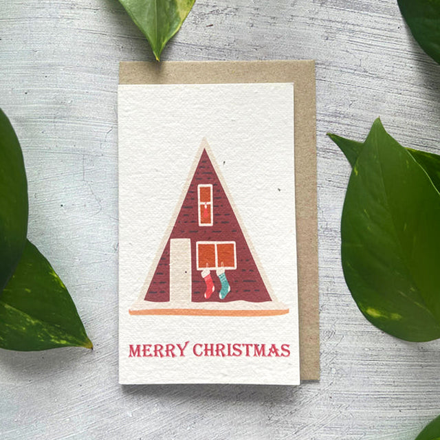 🎄🌱Plantable Christmas Seed Cards - 🌼Send blessings and plant a hope