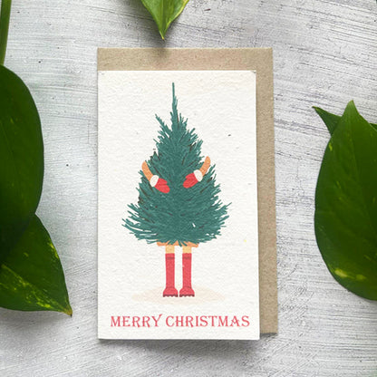 🎄🌱Plantable Christmas Seed Cards - 🌼Send blessings and plant a hope