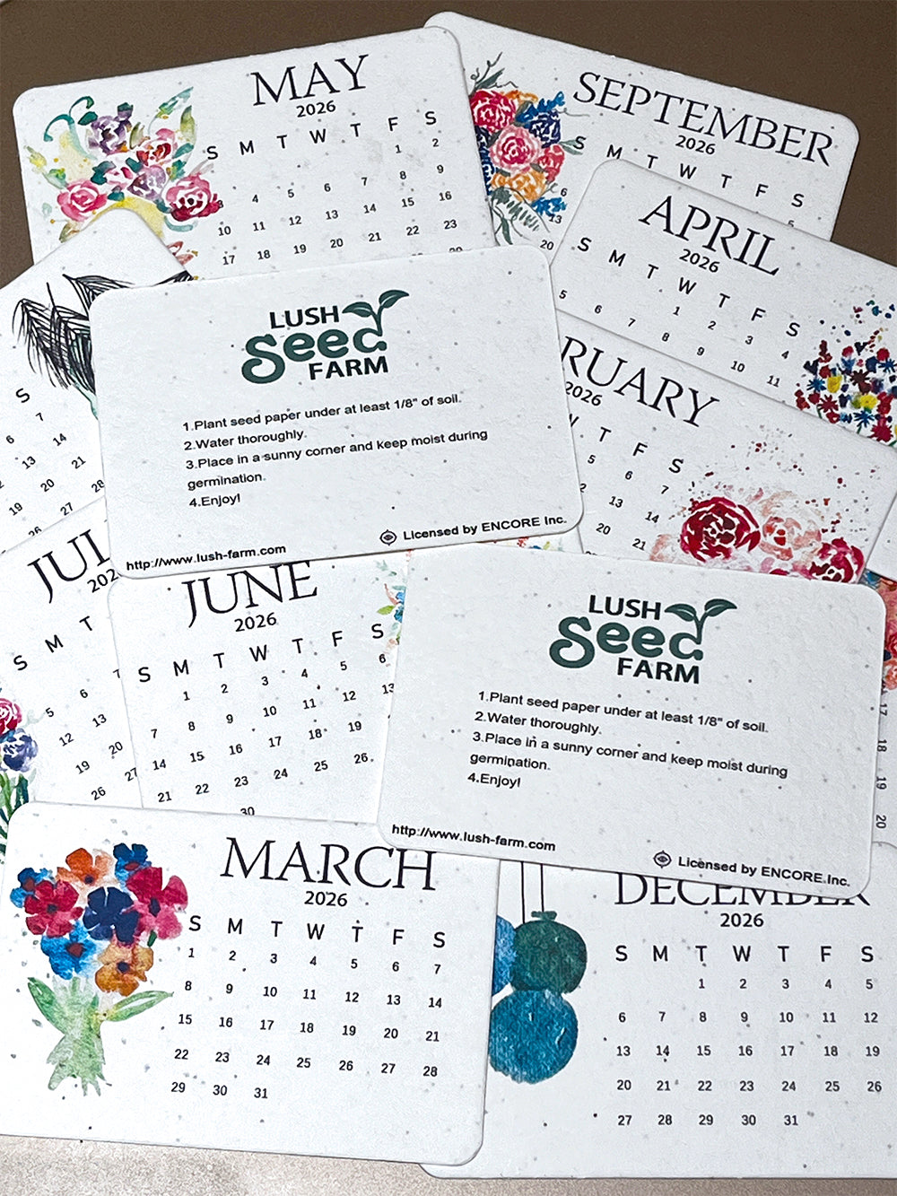 ✨Early Black Friday Sale 70% OFF🌱Eco-Friendly Plantable Seed Calendar 2026